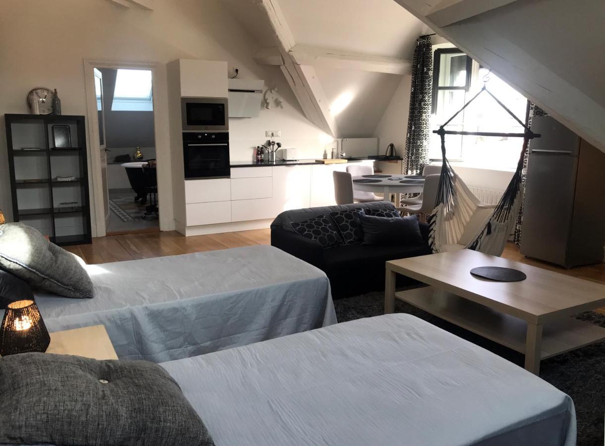 Demeure Saint Louis Historic Manor, City 700M, Parking,A C,Clim,Wifi, Heated Pool, City View Carcassonne Eksteriør billede