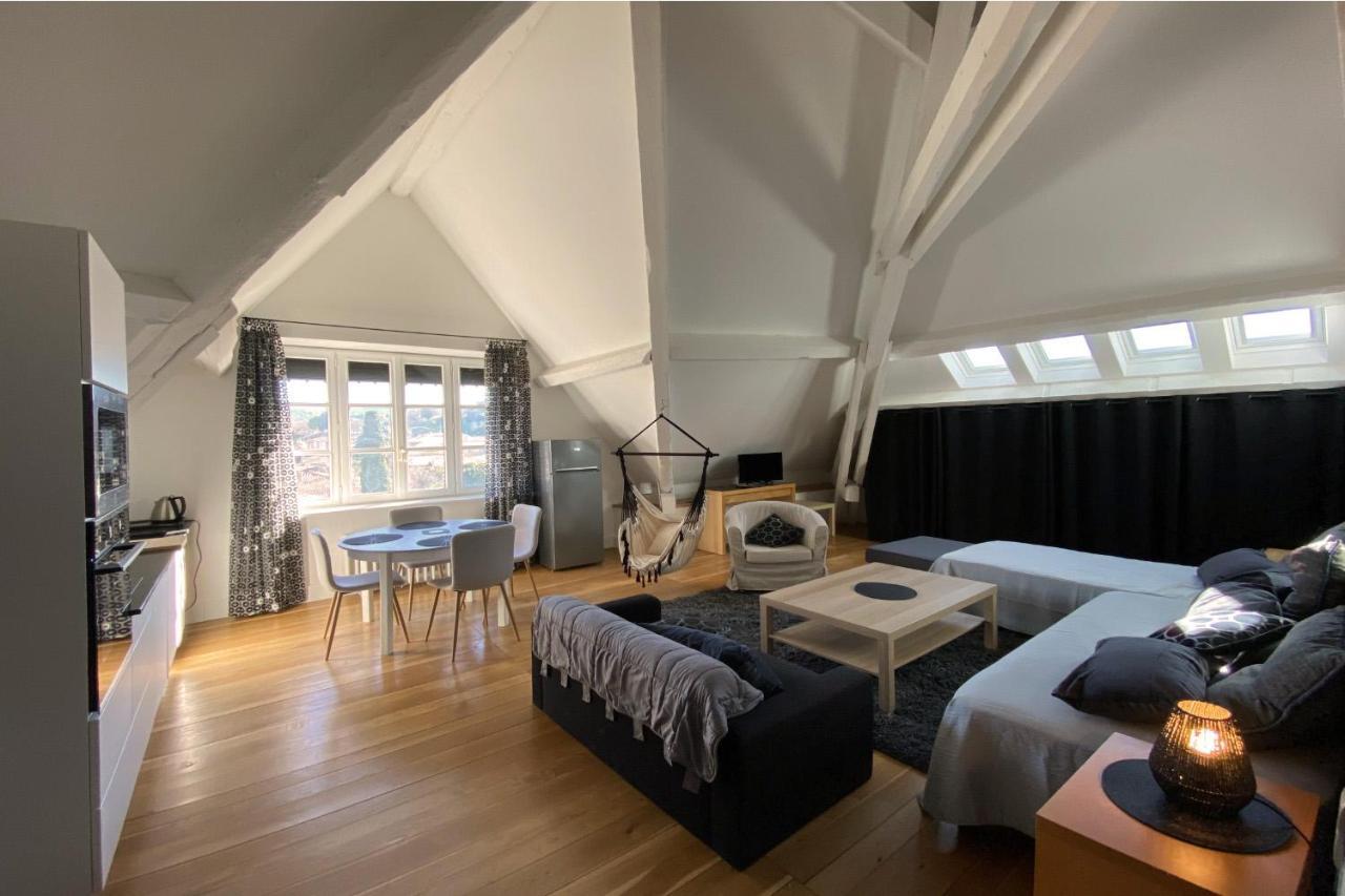 Demeure Saint Louis Historic Manor, City 700M, Parking,A C,Clim,Wifi, Heated Pool, City View Carcassonne Eksteriør billede